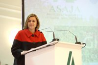 Cospedal destaca que la Constitució dóna "estabilitat" a Espanya, que és el que volen "la majoria dels ciutadans"
