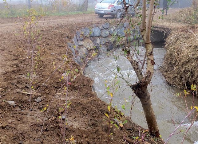 La CHE finaliza el acondicionamiento de la margen derecha del río Queiles