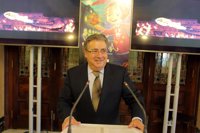 La pequeña Estrella guiará los 'Sueños de agua' del mapping