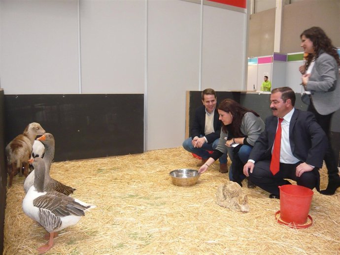 Heras, Férriz, Castro y Caballero (de pie) en la apertura de Feduca 2014.