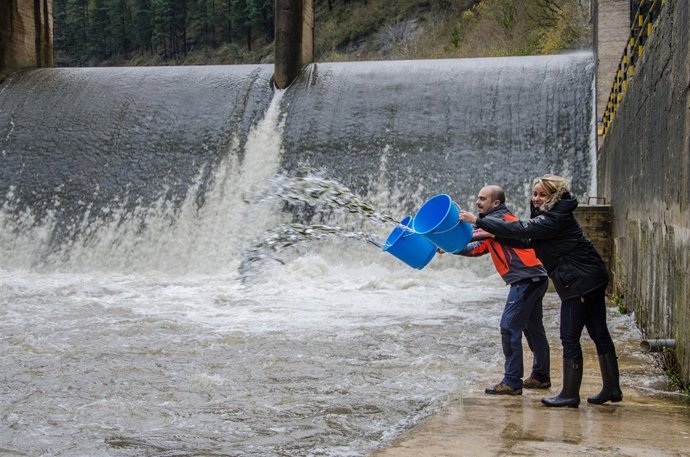 Repoblación de salmones