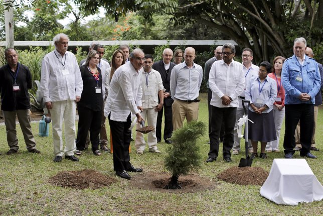 Colombian lead government negotiator Humberto de la Calle plants a tree as part 