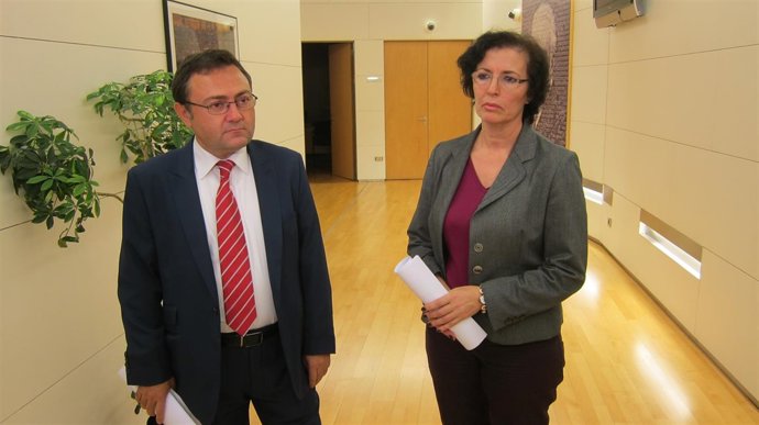 El secretario general del Grupo Socialista, Miguel Ángel Heredia