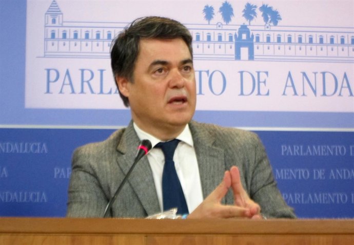 El portavoz del PP-A en el parlamento, Carlos Rojas, hoy