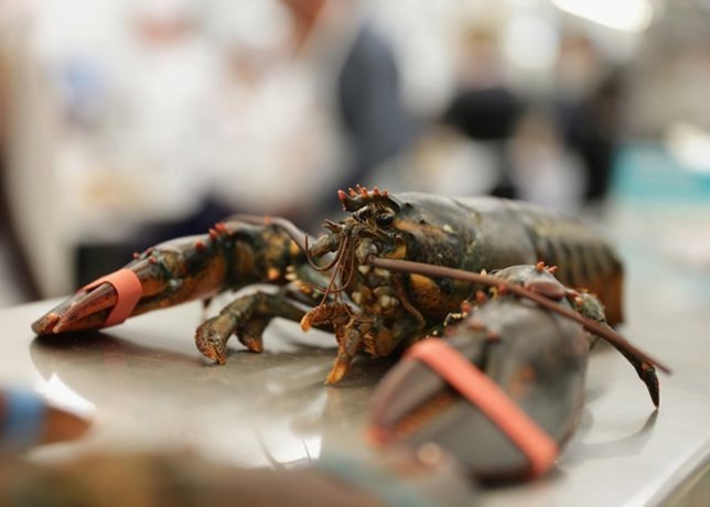 10 Consejos Para Preparar Marisco En Navidad