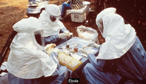 Wikipedia ébola