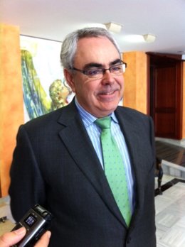 El consejero de Economía y Hacienda, Francisco Martínez Asensio