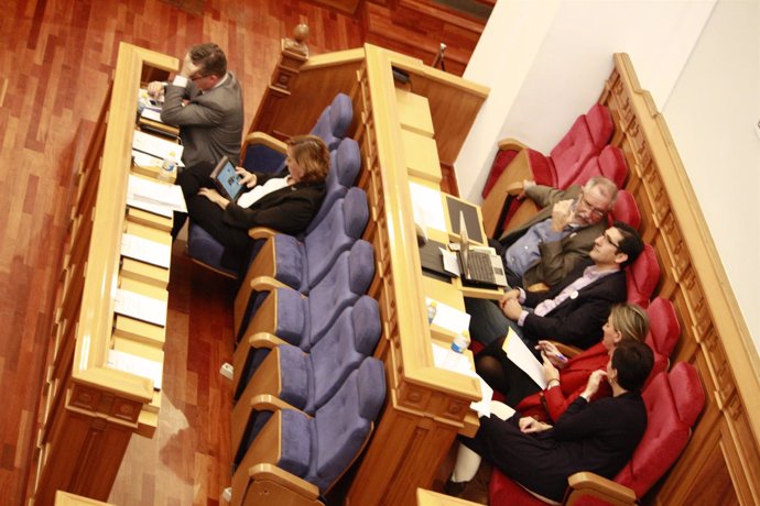 Pleno de las Cortes, diputados, Parlamento