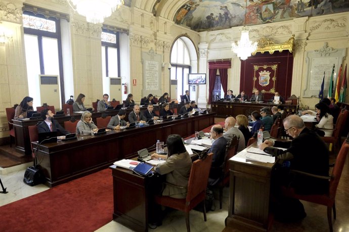 Pleno del Ayuntamiento de Málaga de noviembre 2014