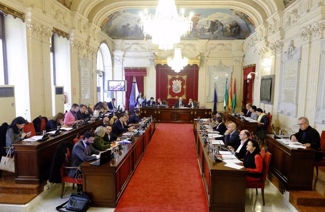 Pleno del Ayuntamiento de Málaga de diciembre 2014