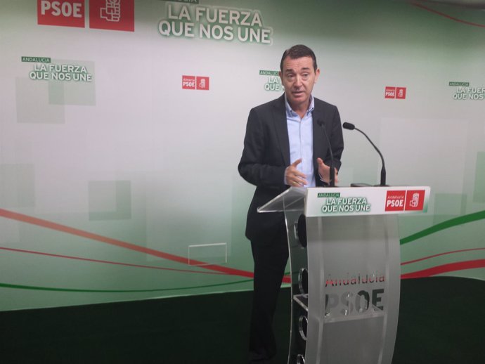 El secretario de Organización del PSOE, Juan Carlos Pérez Navas