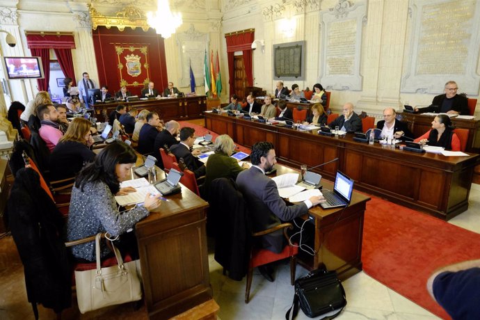 Pleno del Ayuntamiento de Málaga de diciembre 2014