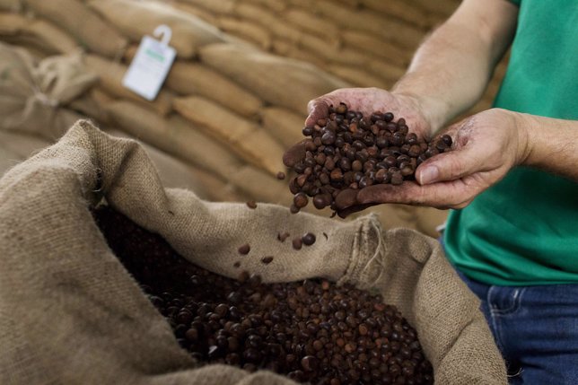 Brasil exporta 2,65 mi sacas de café verde em maio, alta de 16,6%