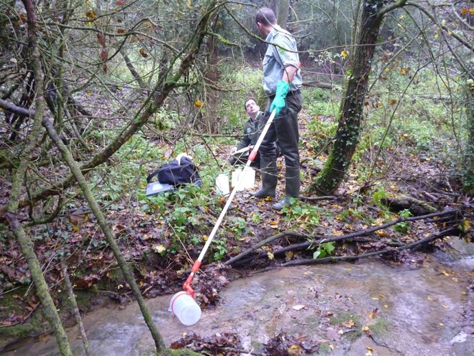 Agentes rurales inspeccionan riera de Santa Maria de Corcó