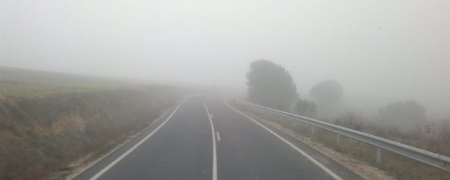 Niebla en la carretera.