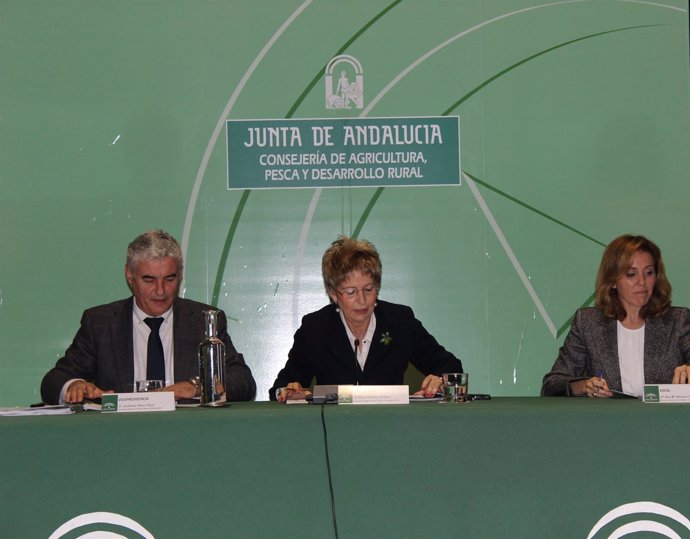 La consejera Elena Víboras, en el Consejo Andaluz del Olivar