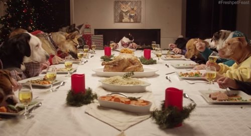 Cena perros video viral