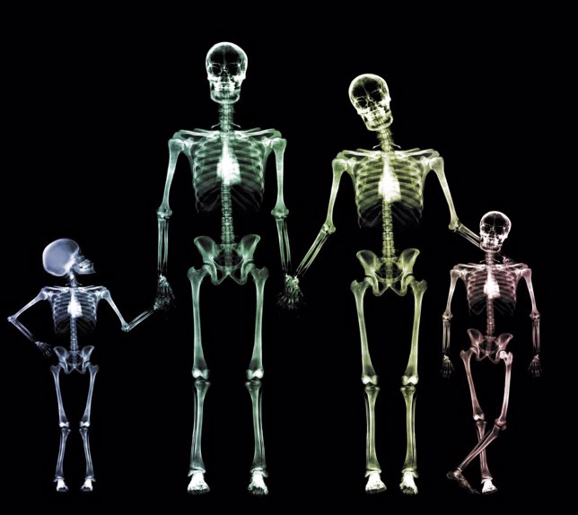 Esqueletos de una familia con huesos fuertes