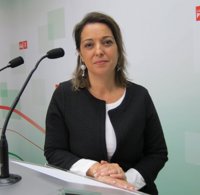 Ambrosio (PSOE) propone que un patronato gestione la Mezquita-Catedral
