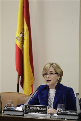 Belén Romana, presidenta de la SAREB