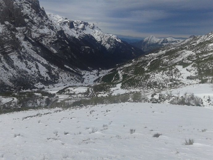 Nieve, nevada, montaña, invierno