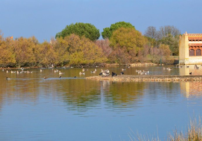 Las lagunas de Villafáfila, en la provincia de Zamora.               