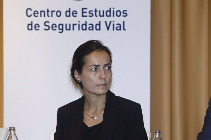 María Seguí, directora de la DGT