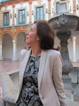 La presidenta de la Diputación, María Luisa Ceballos
