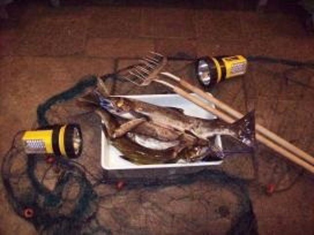 Material y piezas incautadas