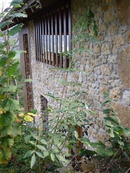 Vivienda En Sobrecueva (Cangas De Onís)