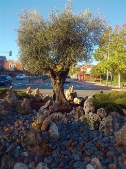 Renovación de la glorieta