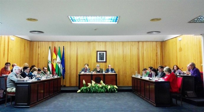 Pleno de Mairena del Aljarafe.
