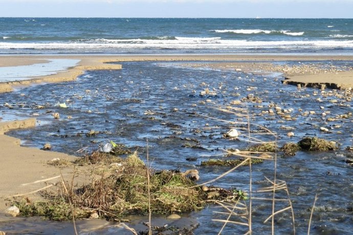 Vertidos en el Parque de Oyambre. Contaminación. 
