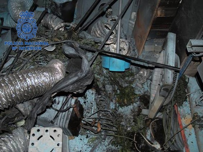 Laboratorio de marihuana calcinado en Alaquàs (Valencia)