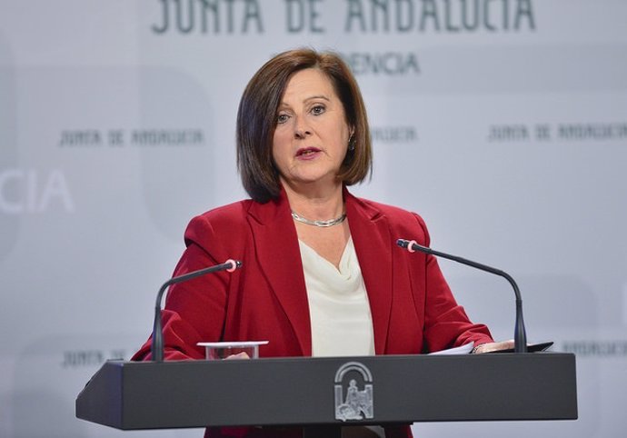La consejera de Igualdad, María José Sánchez Rubio, en rueda de prensa