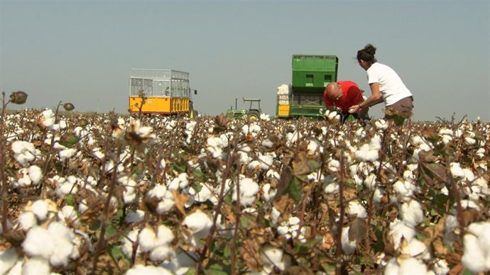 Programa Urbanitas de La 2