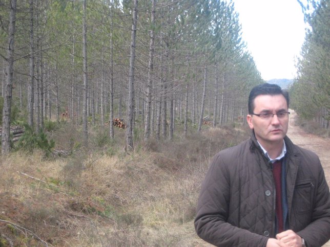 El director general de Gestión Forestal del Gobierno de Aragón, Roque Vicente.