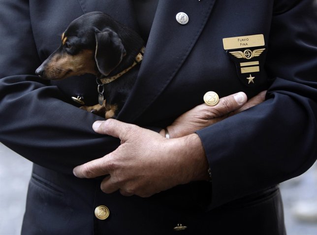 fotonoticia_20150105133710-15011150909_644.jpg (644477)