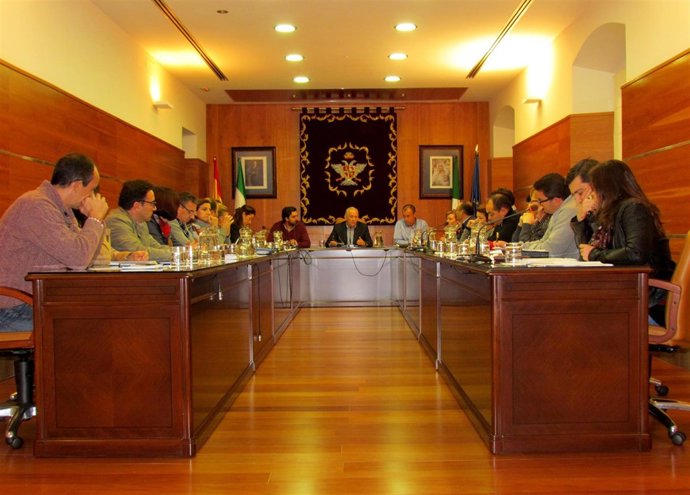 Pleno del Ayuntamiento de Alhaurín el Grande Juan Martín Serón