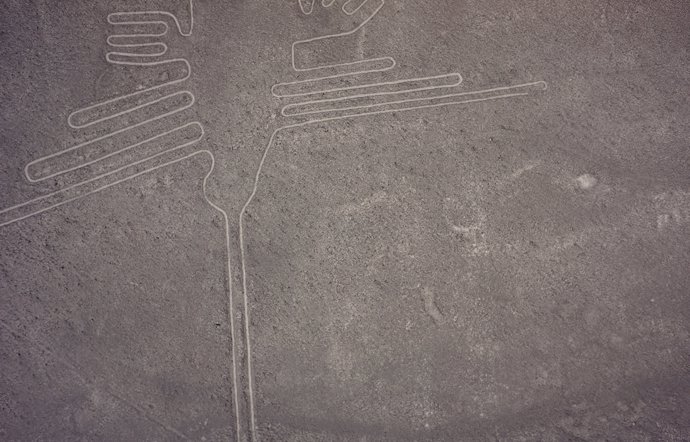Colibrí de Nazca