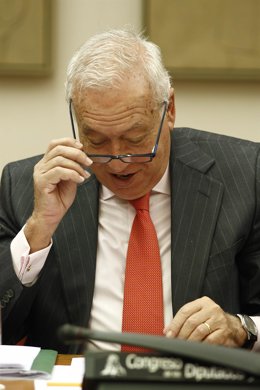 José Manuel García-Margallo