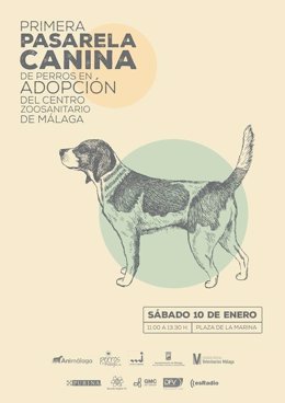 Primera Pasarela Canina Málaga