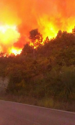 Incendio forestal en Ponte Caldelas