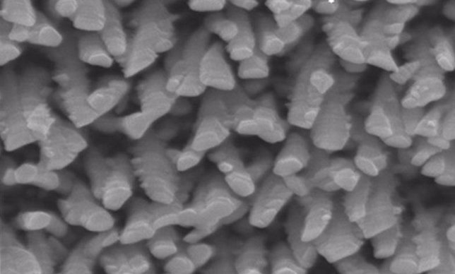 Nanocolumnas de titanio del recubrimiento para implantes óseos