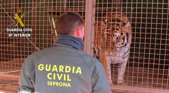 La Guardia Civil interviene varios animales en mercados y circos de Valencia