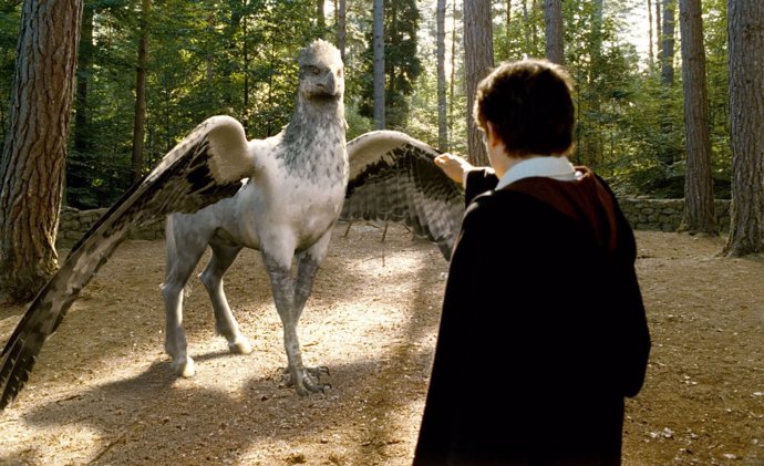 Buckbeak, Harry Potter