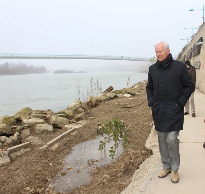 El PP advierte del mal estado de la ribera del Ebro en la zona de la Expo
