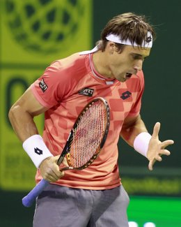 David Ferrer Doha
