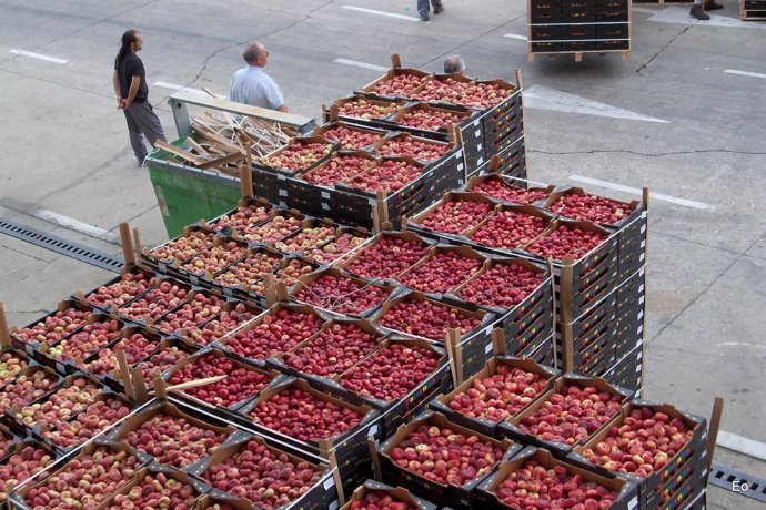 Una de las cargas de frutas y verduras repartidas en 2014