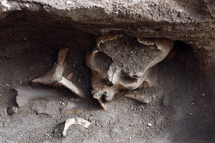 Enterramiento hallado en Puebla